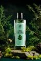 Kolonya 250 ml Pine Forest