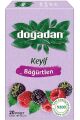 BÖĞÜRTLEN ÇAYI*12