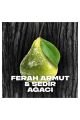 Erkek Deodorant & Bodyspray Black 48 Saat Etkileyici Koku Vücut Spreyi 150 ml X3 Adet